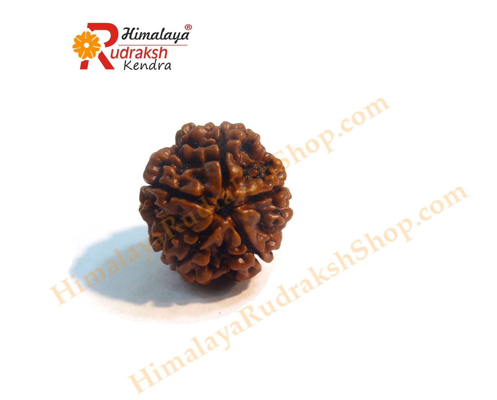 DSC03278 copy complete