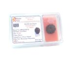 8 Face Rudraksha