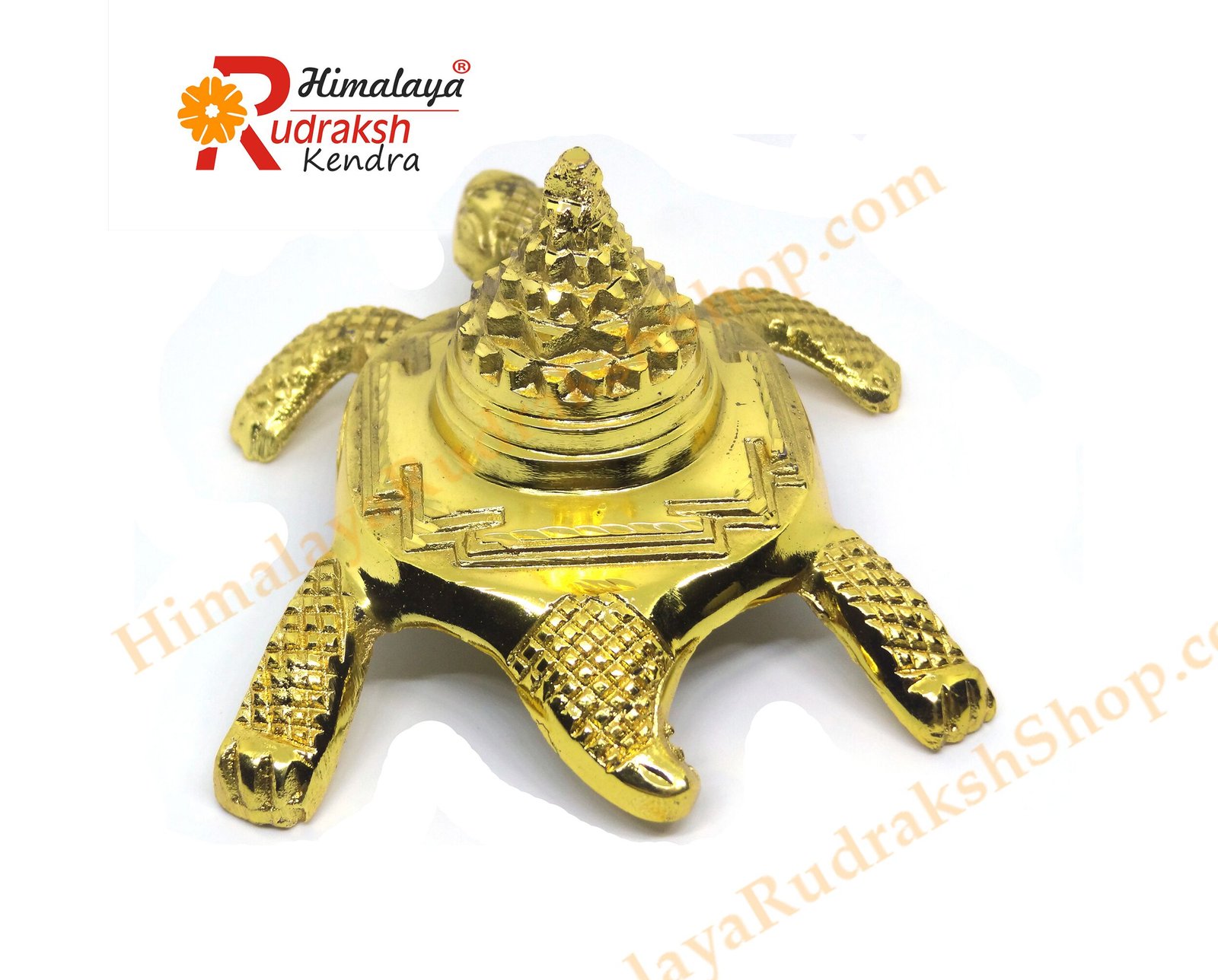 DSC04920 copy Meru Shree Yantra On Tortoise