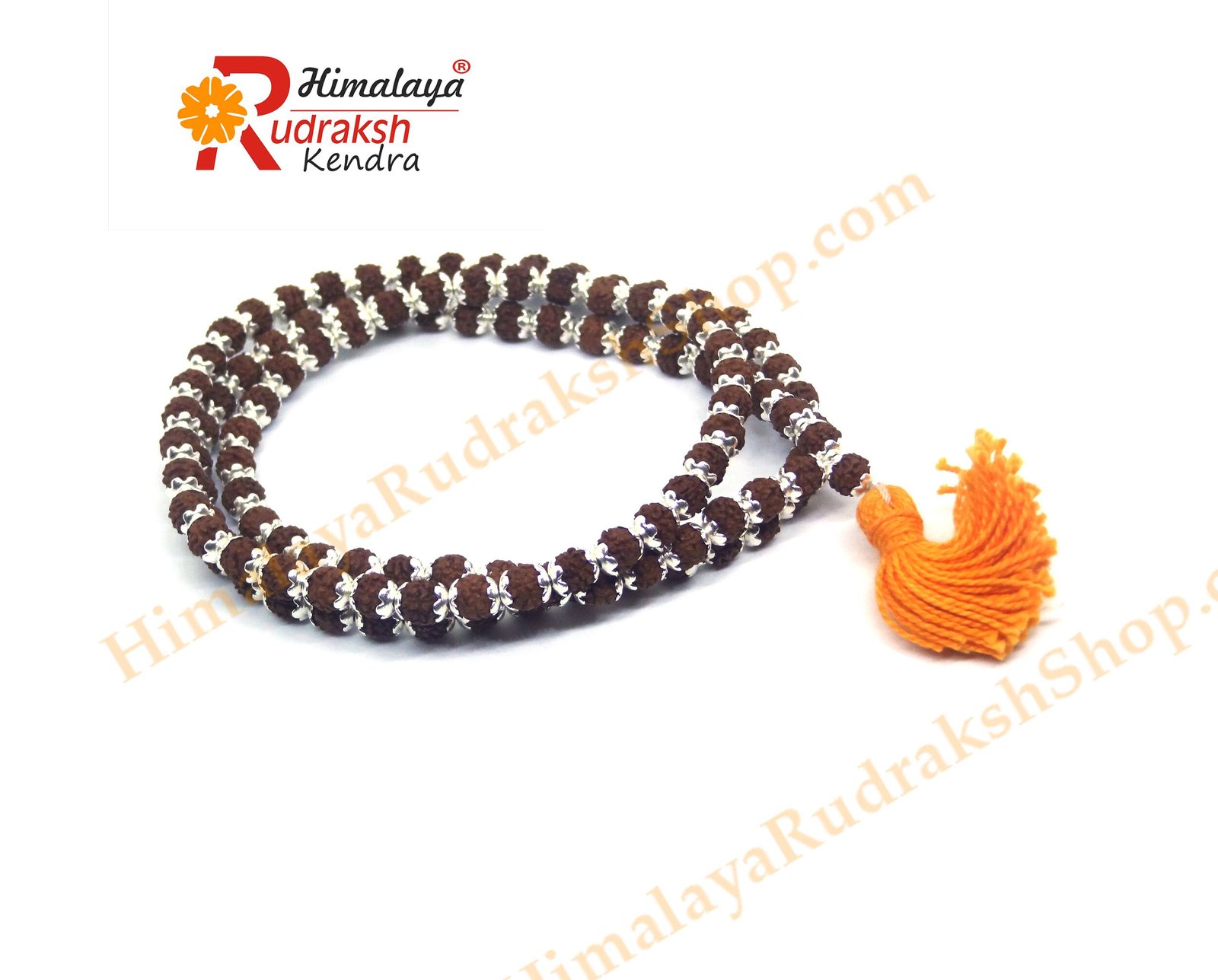 DSC05007 copy Rudraksha Mala 108 1 Beads in Silver Caps