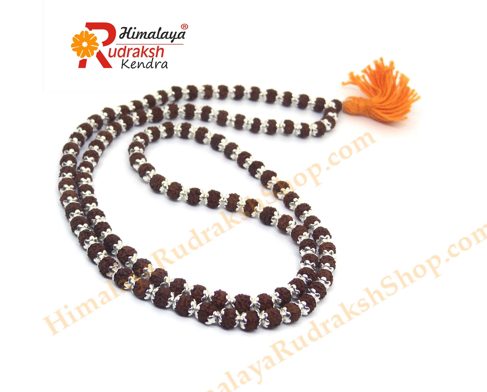 DSC05009 copy Rudraksha Mala 108 1 Beads in Silver Caps