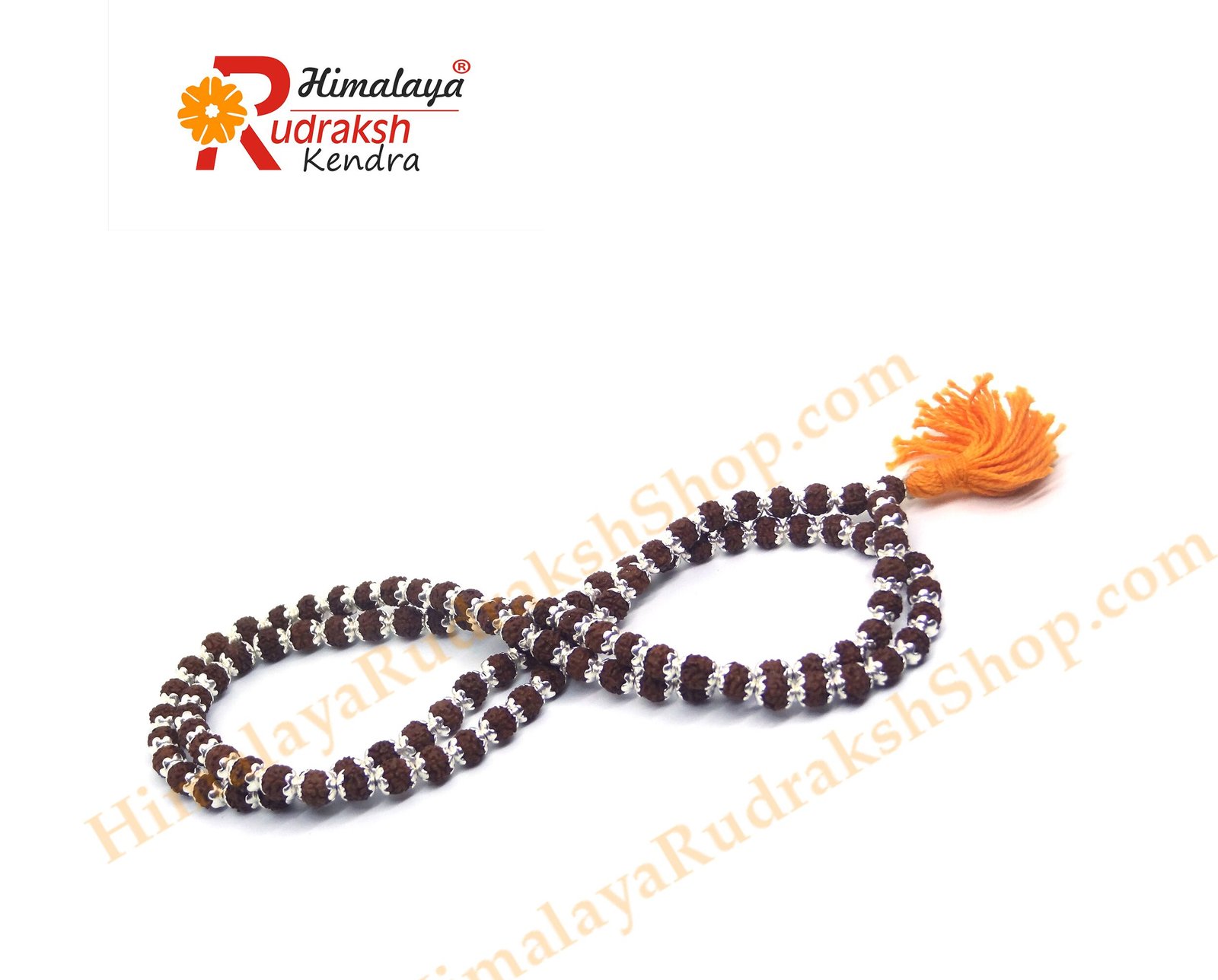 DSC05010 copy Rudraksha Mala 108 1 Beads in Silver Caps