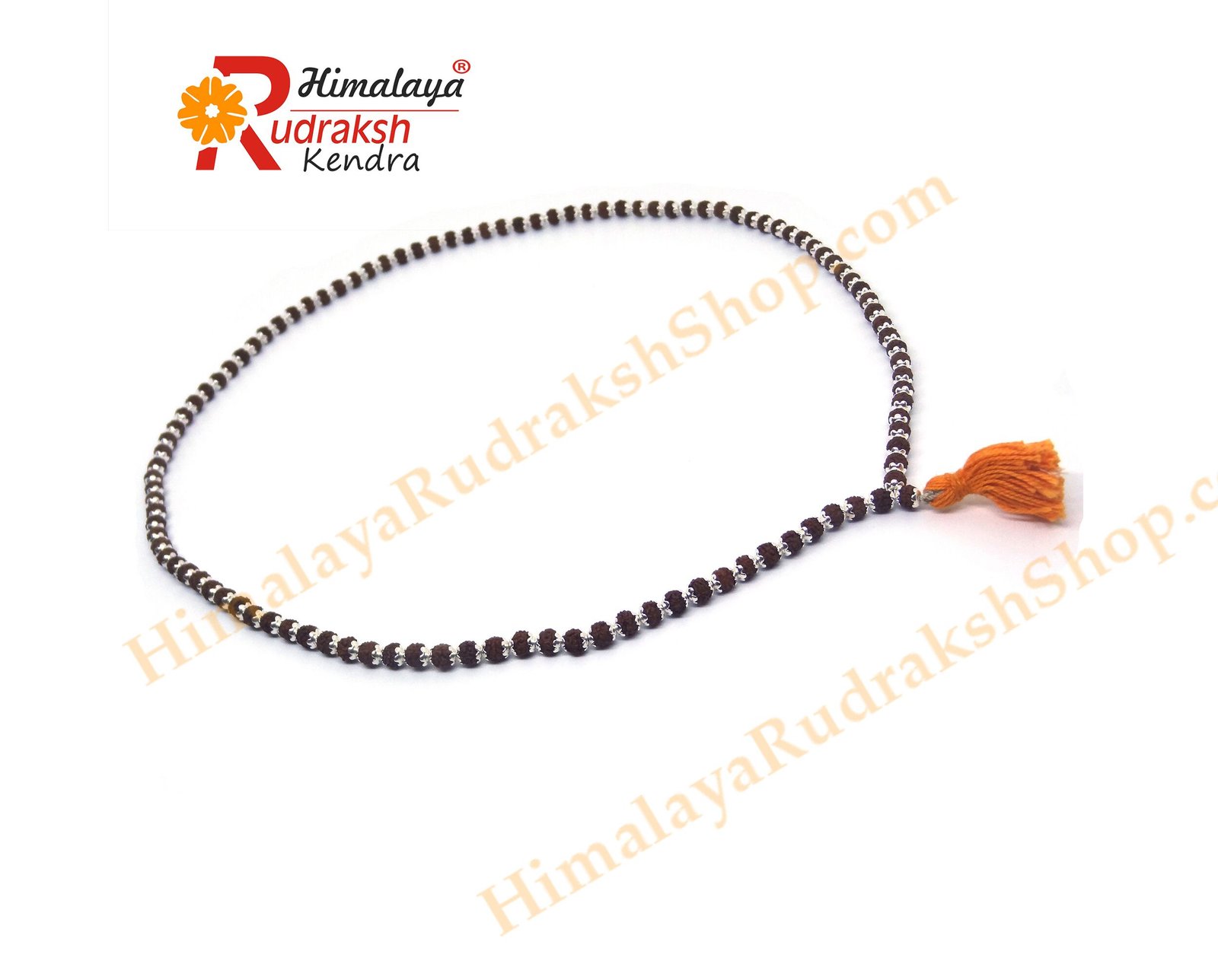 DSC05012 copy Rudraksha Mala 108 1 Beads in Silver Caps