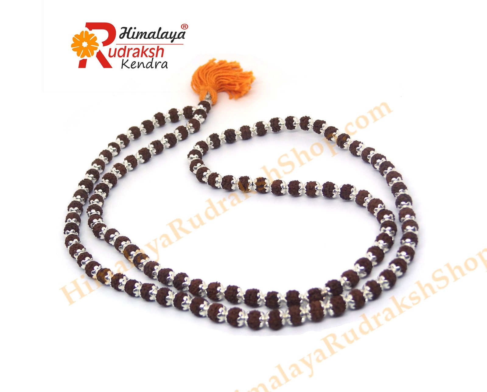 DSC05019 copy Rudraksha Mala 108 1 Beads in Silver Caps