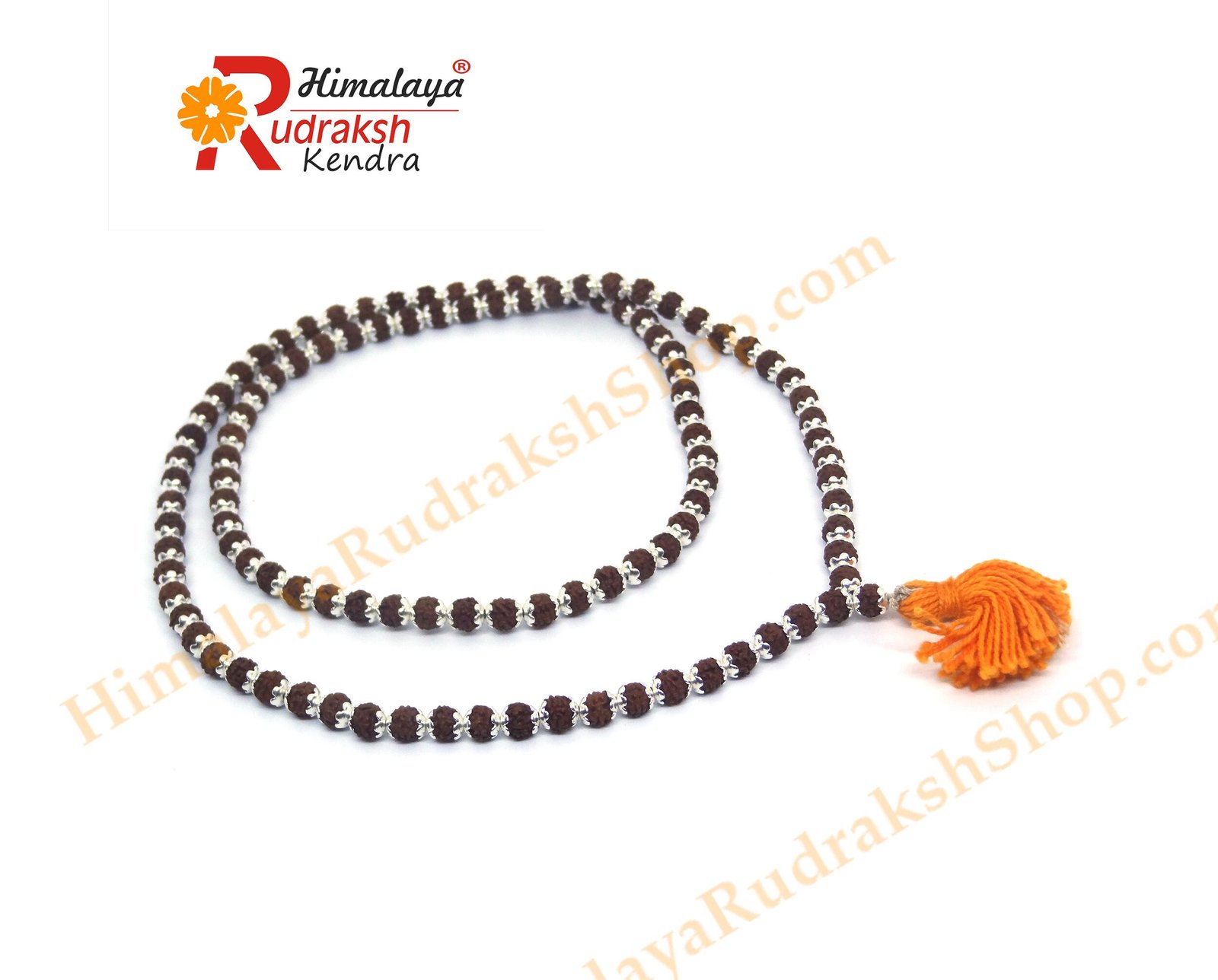 DSC05023 copy Rudraksha Mala 108 1 Beads in Silver Caps
