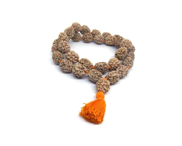 Rudraksha Mala 1