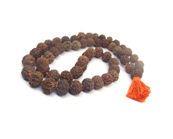 Ganesh Mukhi Mala 9