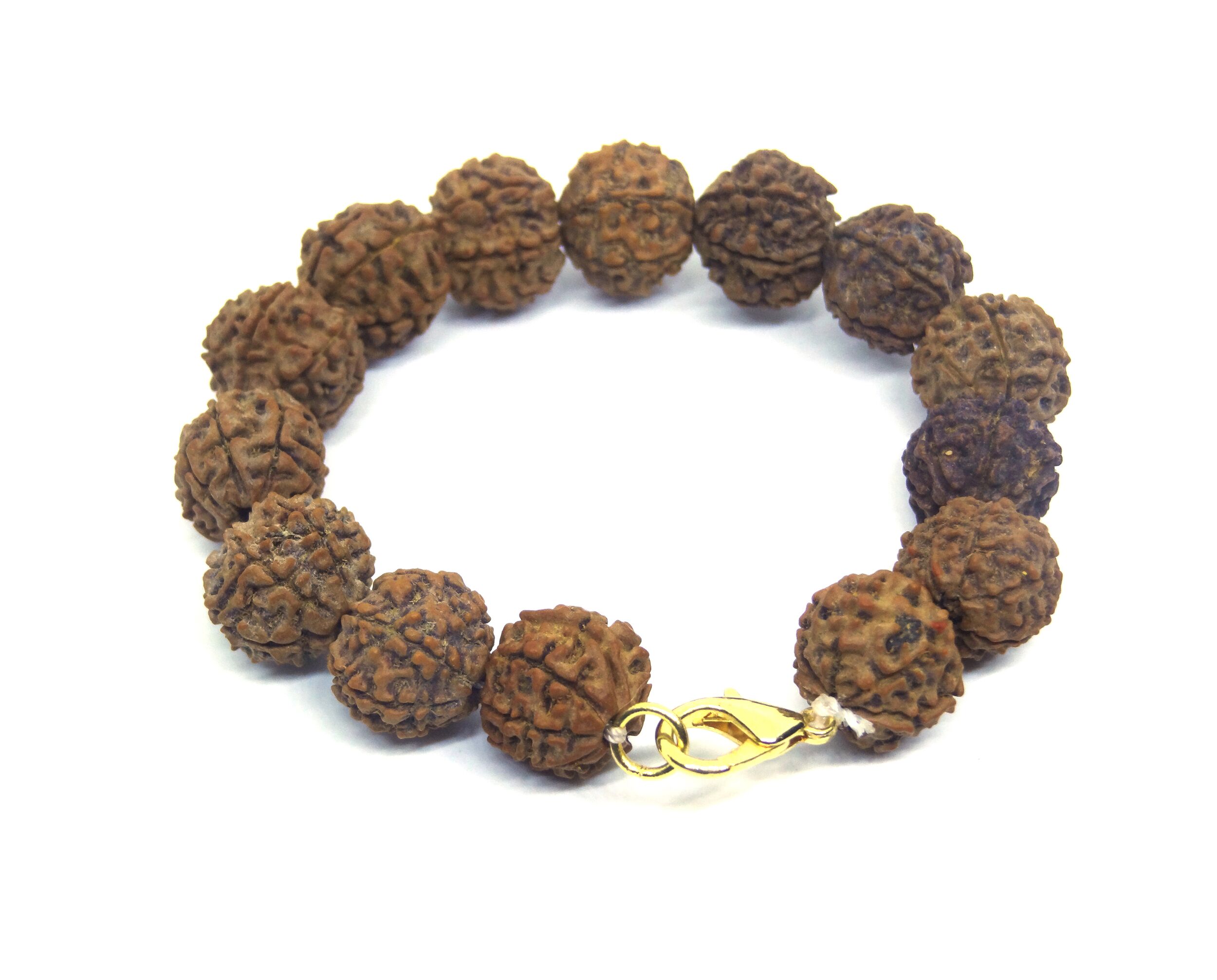 7 Mukhi Rudraksha Bracelet Nepali ( Big Size ) – Himalaya Rudraksh Kendra