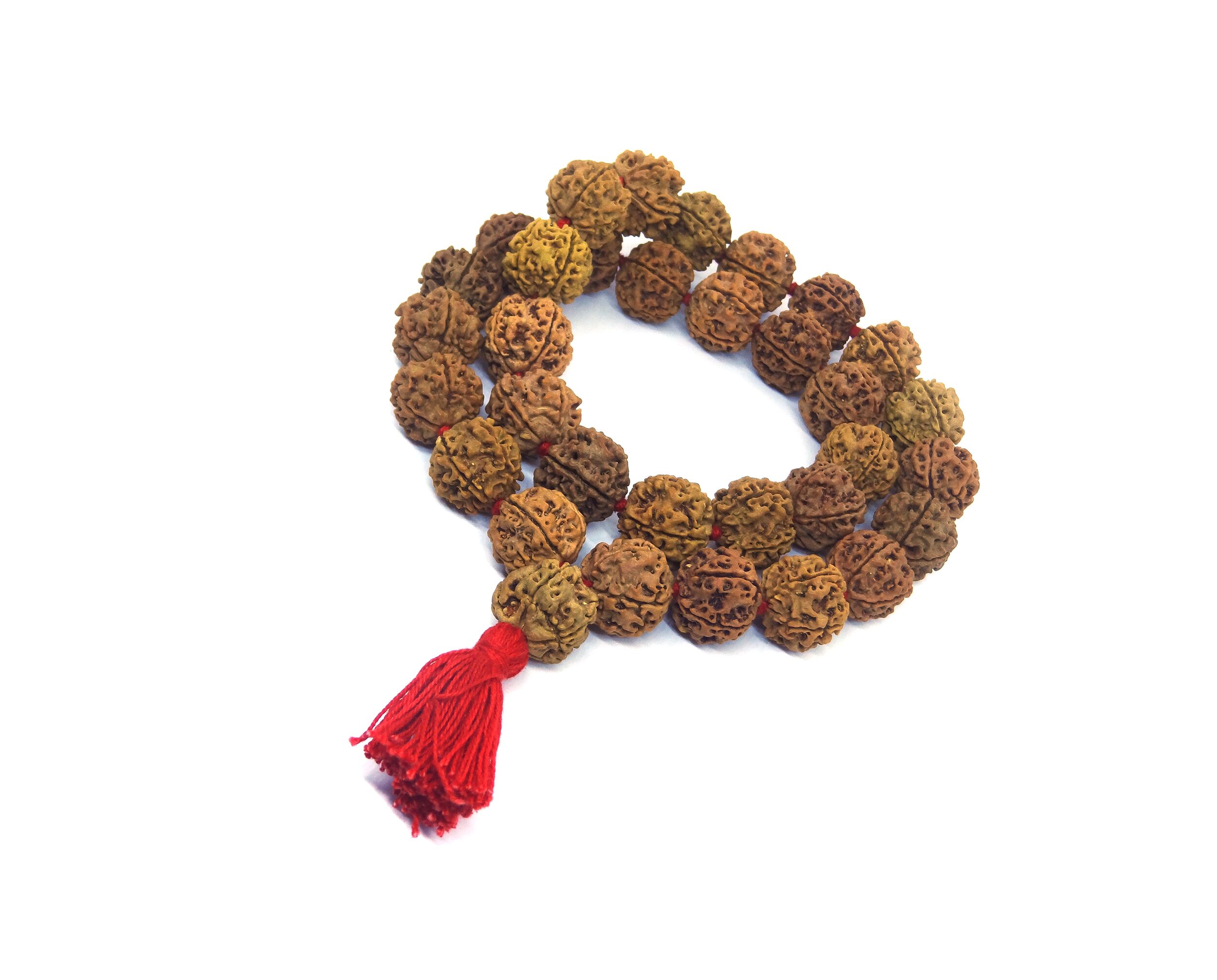 Apnisanskriti 5 Mukhi Rudraksha Mala - 20mm, 54 Beads, Lab Certified, For Jaap Meditation & Wearing
