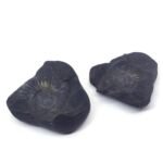 Natural Chakra Shaligram Shila 344 grams