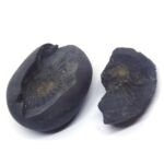Natural Chakra Shaligram Shila 226 grams