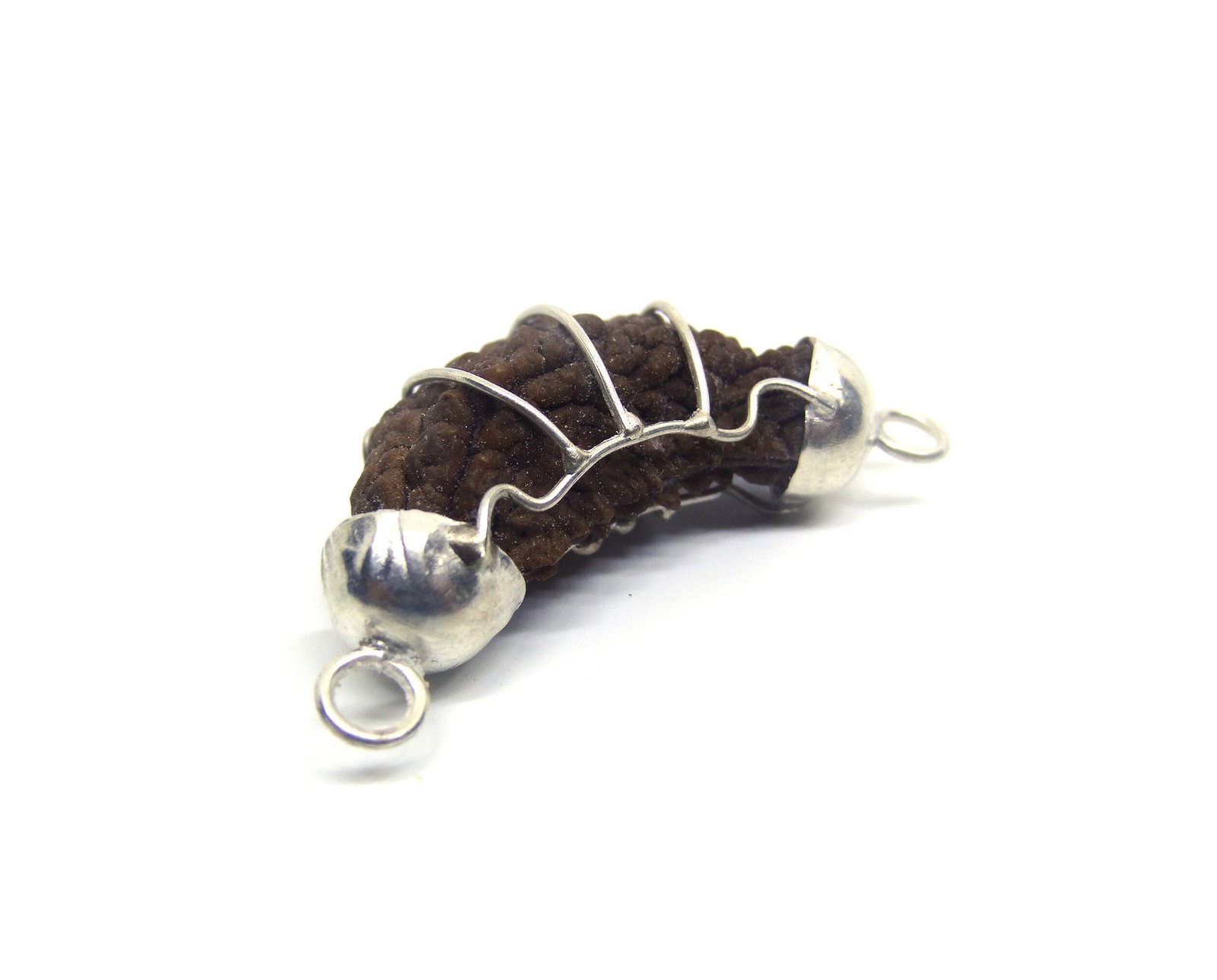 1 Mukhi Rudraksha 2 1 Mukhi Rudraksha 2