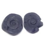 Natural Chakra Shaligram Shila 940 grams