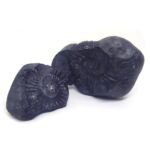 Natural Chakra Shaligram Shila 683 grams