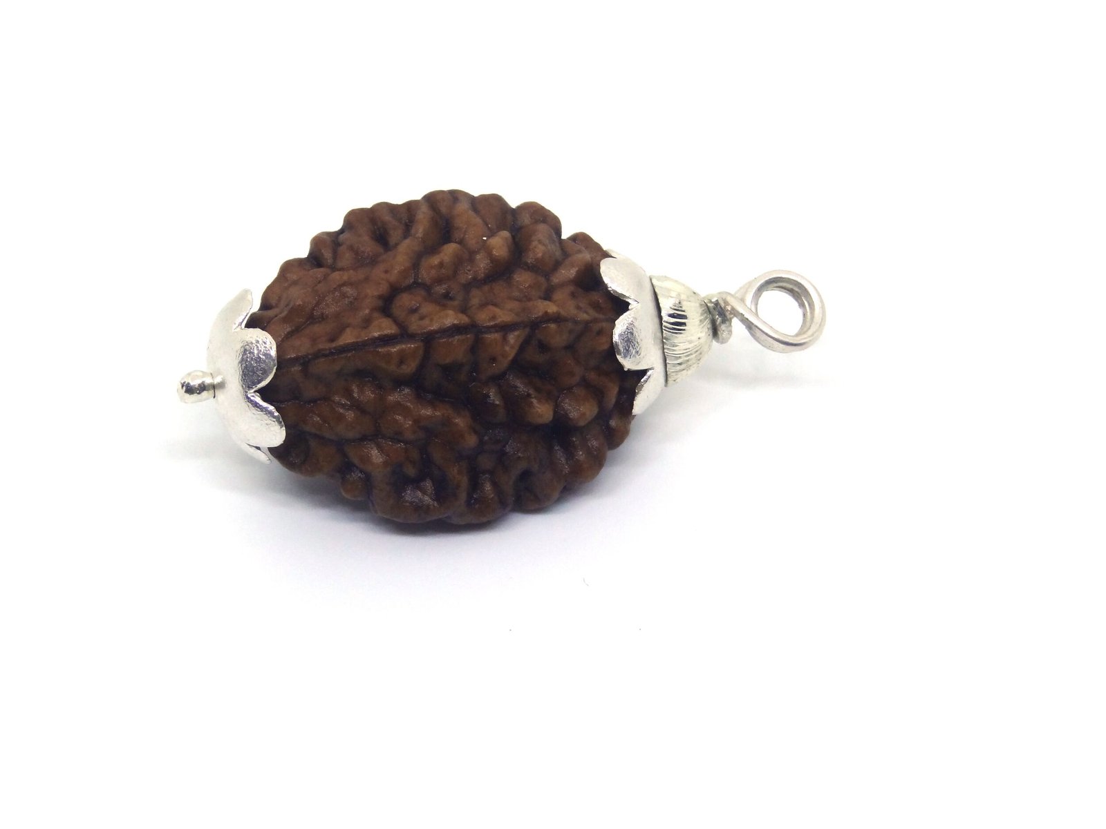 DSC06088 Copy 2 Mukhi Rudraksha in Silver Cap
