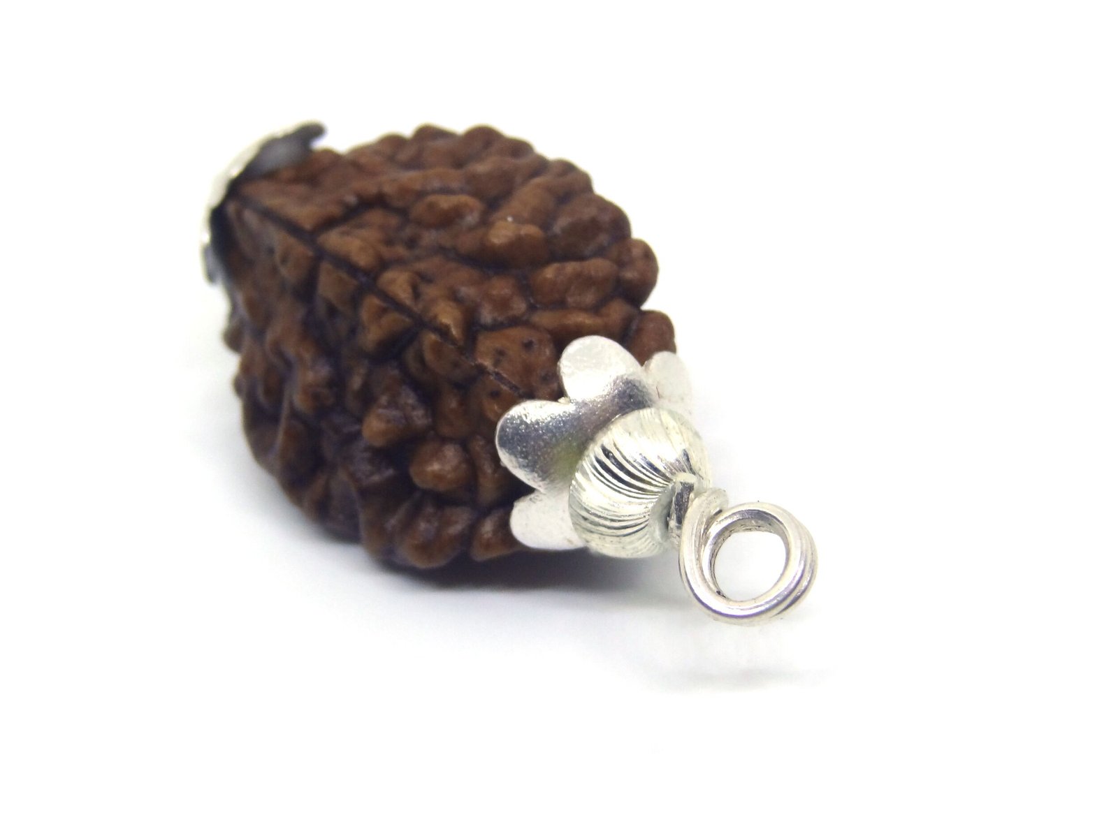 DSC06090 Copy 2 Mukhi Rudraksha in Silver Cap