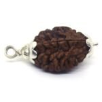2 Mukhi Rudraksha in Silver Cap