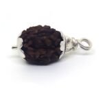 3 Mukhi Rudraksha in Silver Cap