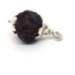 4 Mukhi Rudraksha in Silver Cap ( Nepal Origin )