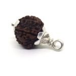 5 Mukhi Rudraksha in Silver Cap ( Nepal Origin )