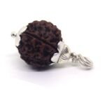 6 Mukhi Rudraksha in Silver Cap ( Nepal Origin )