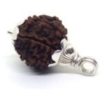 7 Mukhi Rudraksha 2