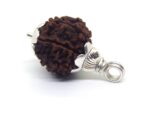 7 Mukhi Rudraksha 2