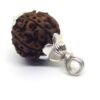 8 Mukhi Rudraksha 1