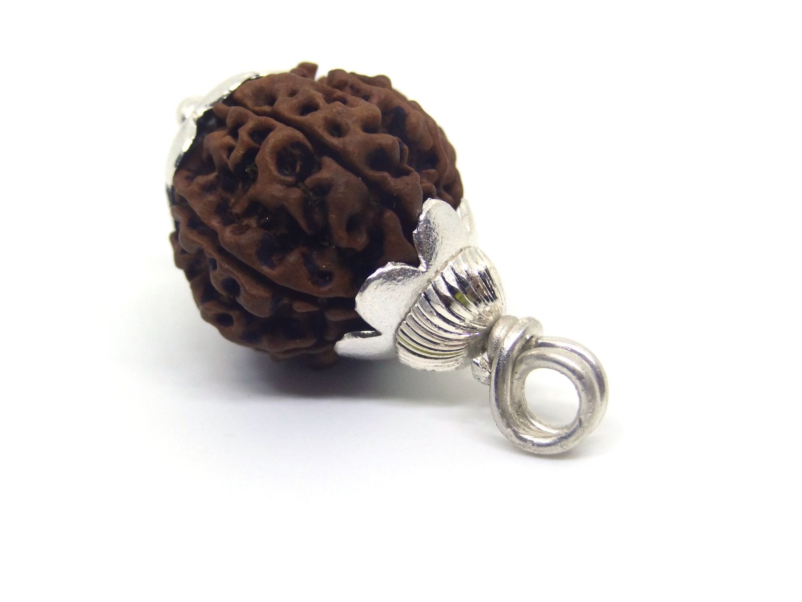8 Mukhi Rudraksha 1 8 Mukhi Rudraksha 1