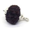 10 Mukhi Rudraksha 3