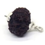 10 Mukhi Rudraksha 3