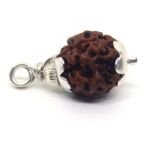 3 Mukhi Rudraksha in Silver Cap ( Nepal Origin )