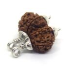 Gauri Shankar Rudraksha in Silver Cap ( Nepal Origin )