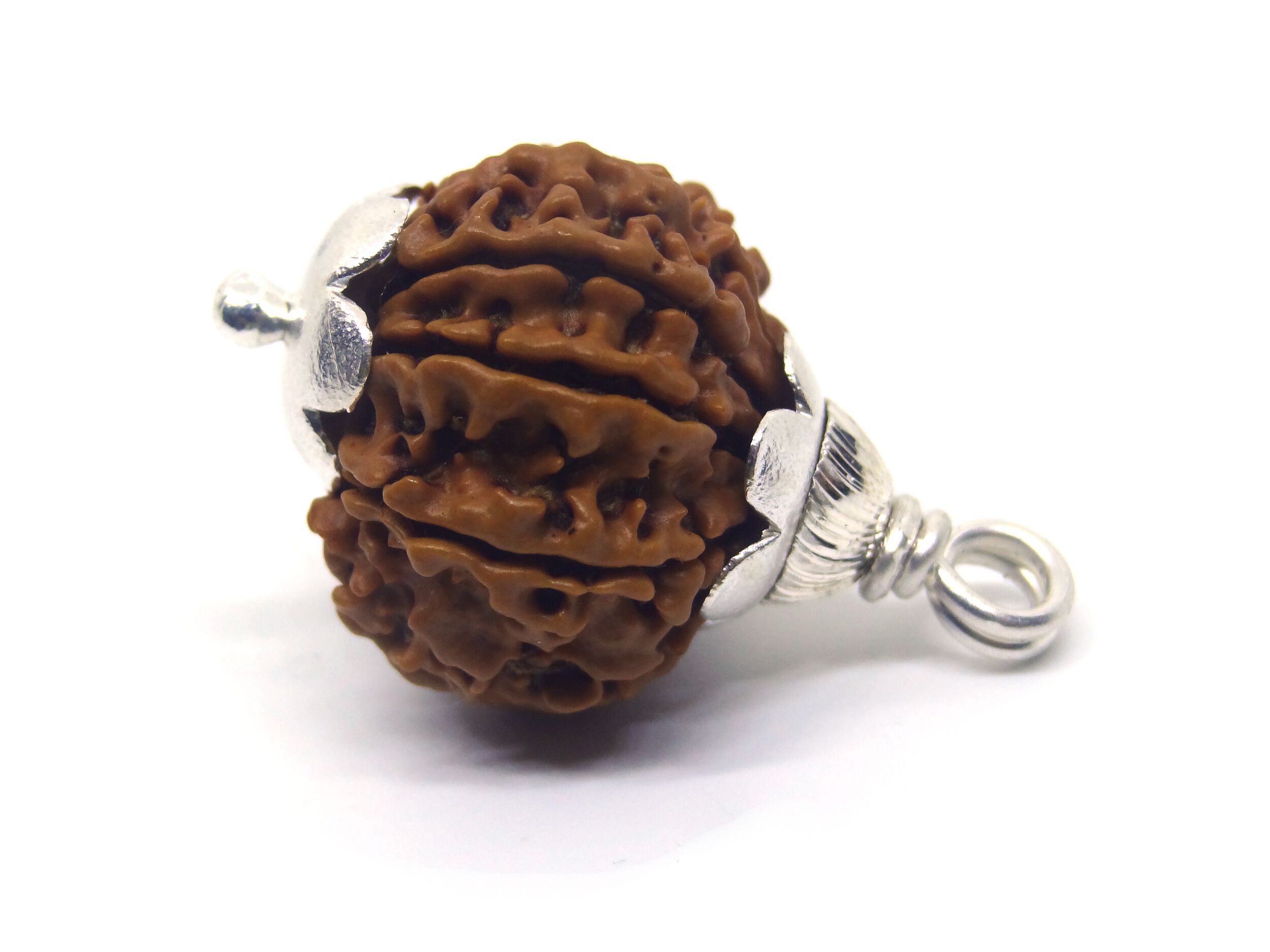 9 Mukhi Rudraksha From Nepal 20mm-22mm Silver Rudraksha Mala IGL Lab Certified Original outlet Geniune 100% Natural.