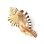 Natural Ganesh Shankh / Conch