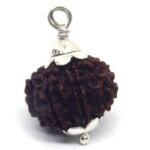 8 Mukhi Rudraksha 2
