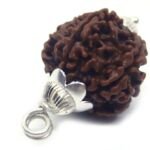 5 Mukhi Rudraksha in Silver Cap ( Big Size ) ( Nepal Origin )