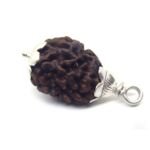 2 Mukhi Rudraksha in Silver Cap Nepal Origin