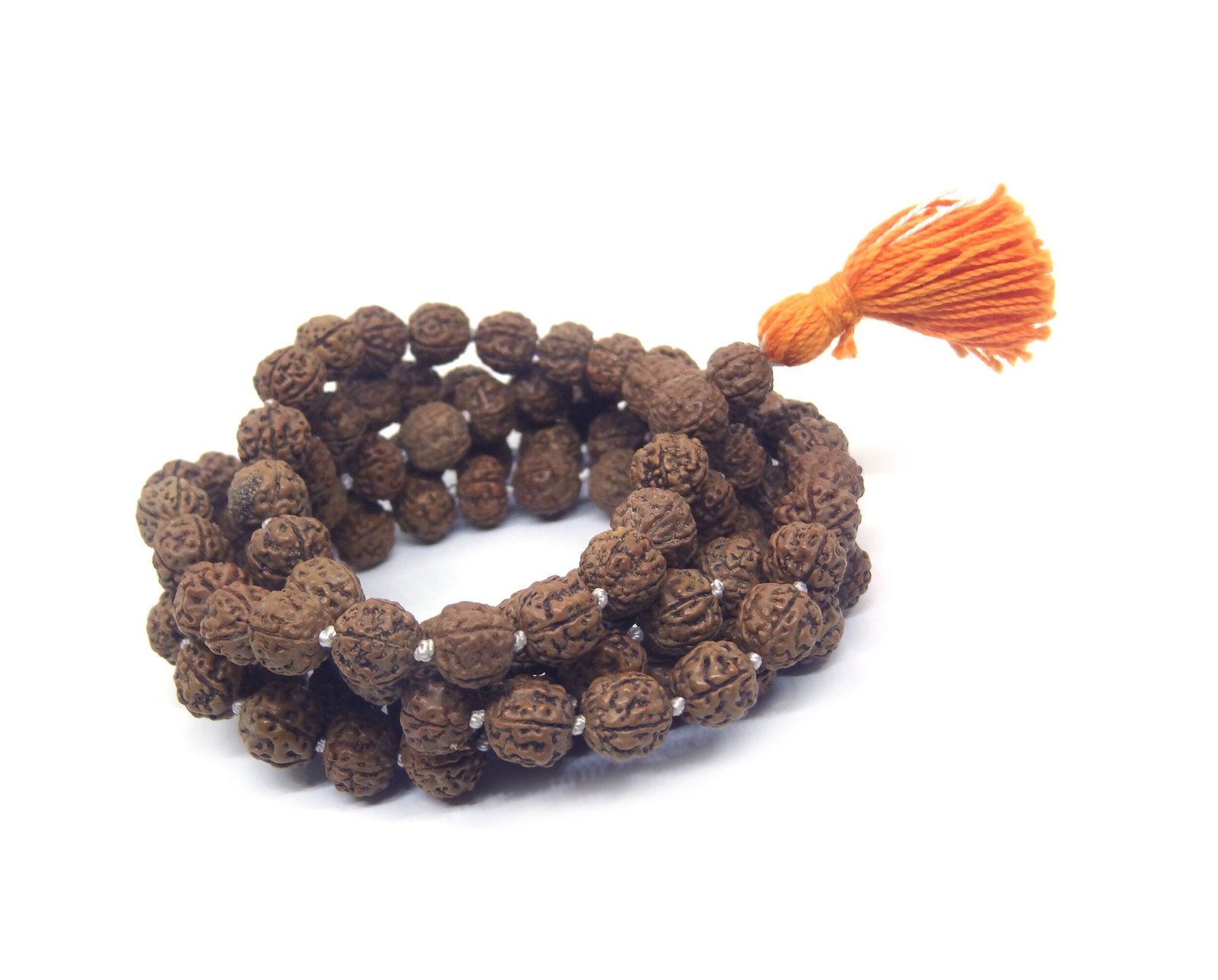 Rudraksha Pathri Mala 5 Mukhi Rudraksha Pathri Mala