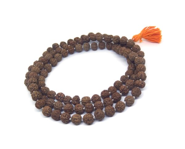 5 Mukhi Rudraksha Pathri Mala