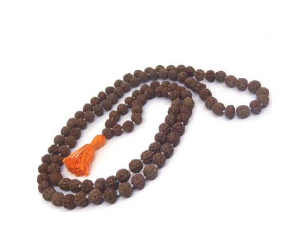 5 Mukhi Rudraksha Pathri Mala