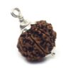 9 Mukhi Rudraksha 3