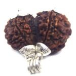 Gauri Shankar Rudraksha in Silver Cap ( Big Size )( Nepal Origin )