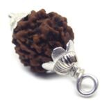 1 Mukhi Rudraksha 4