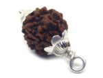 1 Mukhi Rudraksha 4