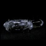 Sphatik Tortoise / Kacchua ( 30 - 35 grams )