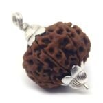 7 Mukhi Rudraksha 5