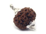 7 Mukhi Rudraksha 5