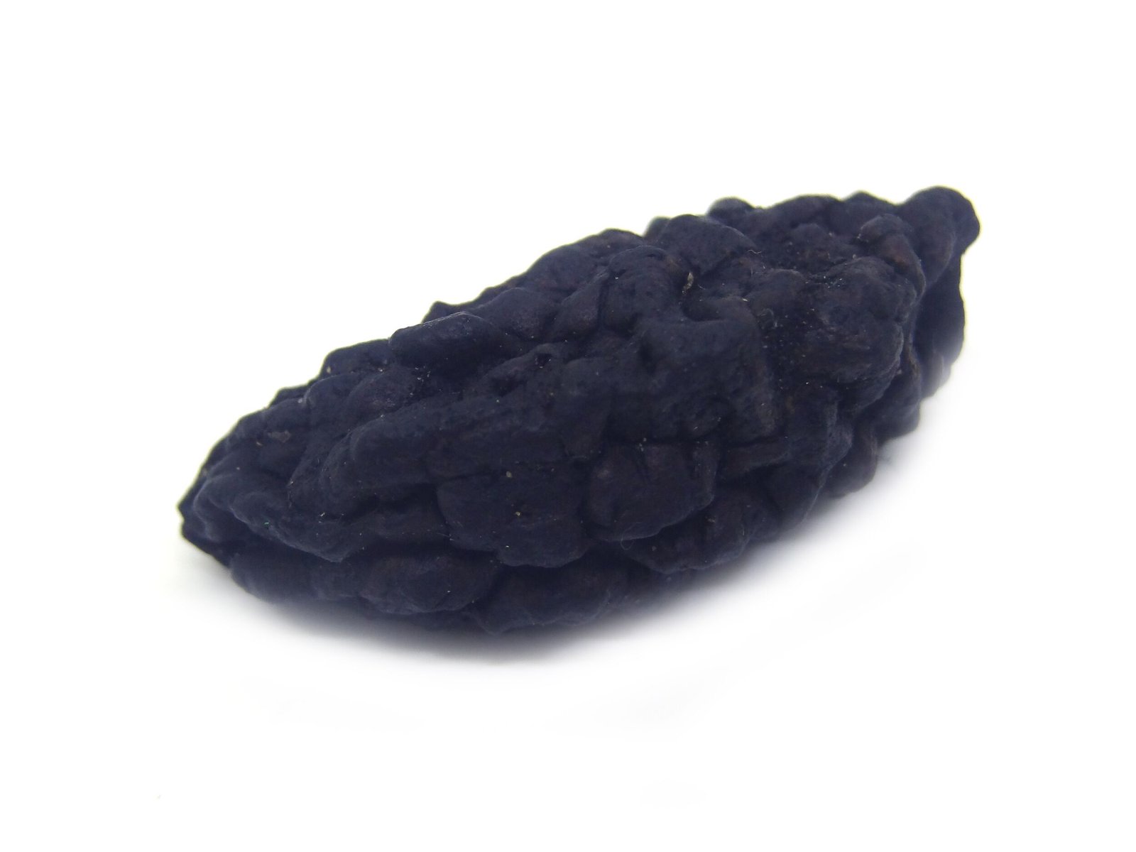 1 Mukhi Nepali Rudraksha 1 Mukhi Nepali Very Big Size