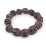 3 Mukhi Rudraksha Bracelet Adjustable